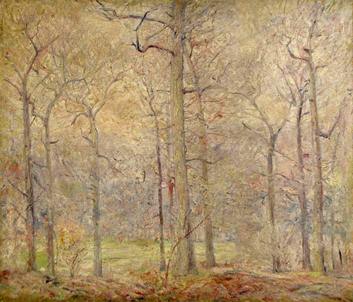 Painting Wonders of the Woods at Winter's End